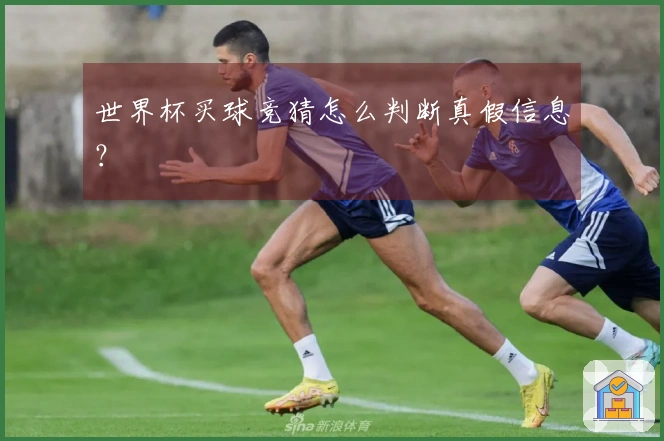 世界杯买球竞猜怎么判断真假信息？