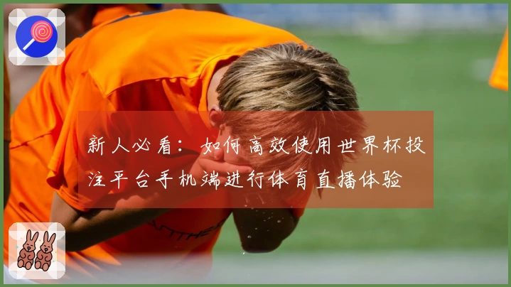 新人必看：如何高效使用世界杯投注平台手机端进行体育直播体验