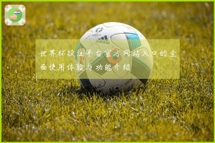 世界杯投注平台官方网站入口的全面使用体验与功能介绍