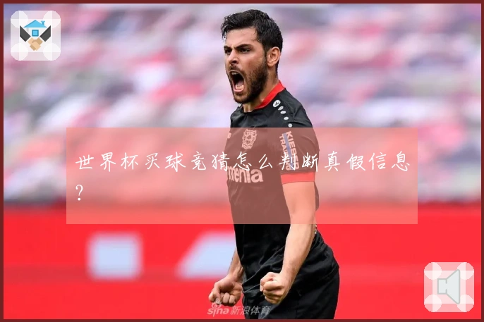 世界杯买球竞猜怎么判断真假信息？