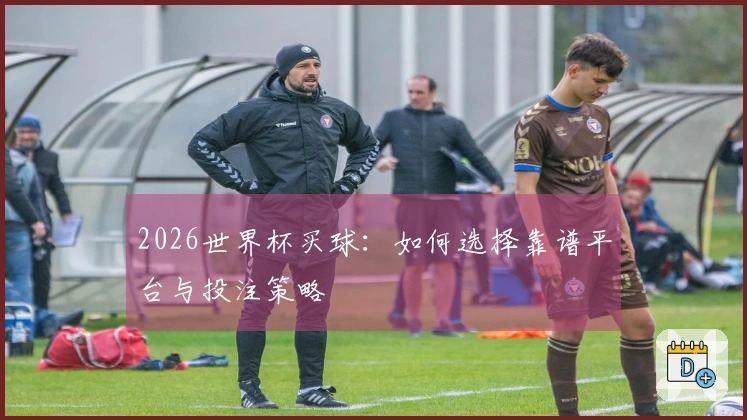 2026世界杯买球:如何选择靠谱平台与投注策略