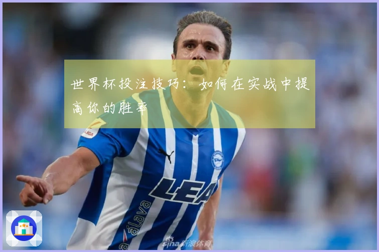 世界杯投注技巧：如何在实战中提高你的胜率