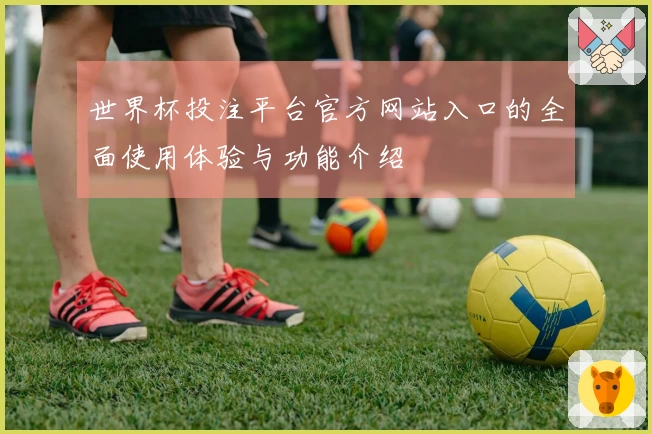 世界杯投注平台官方网站入口的全面使用体验与功能介绍
