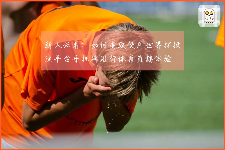 新人必看：如何高效使用世界杯投注平台手机端进行体育直播体验