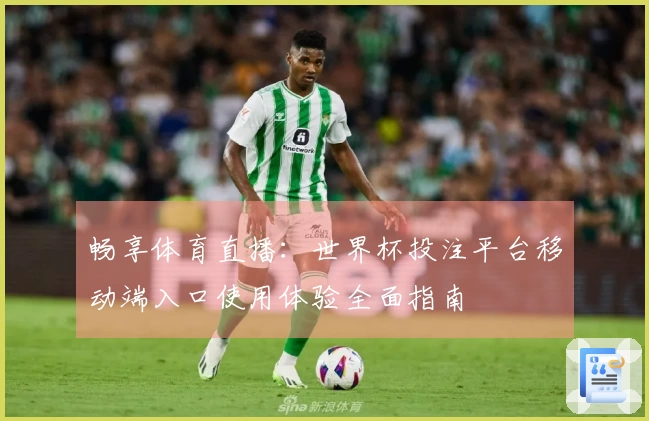 畅享体育直播：世界杯投注平台移动端入口使用体验全面指南