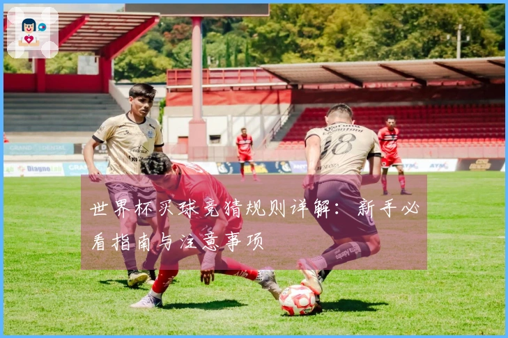 世界杯买球竞猜规则详解：新手必看指南与注意事项