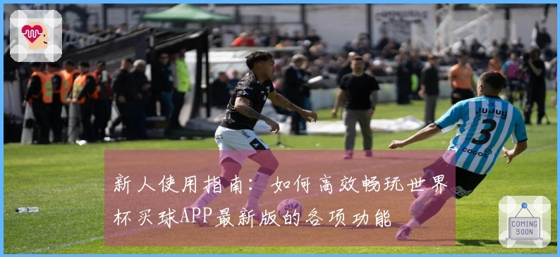 新人使用指南：如何高效畅玩世界杯买球APP最新版的各项功能