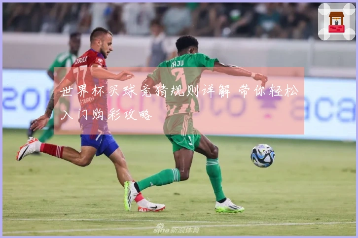 世界杯买球竞猜规则详解 带你轻松入门购彩攻略