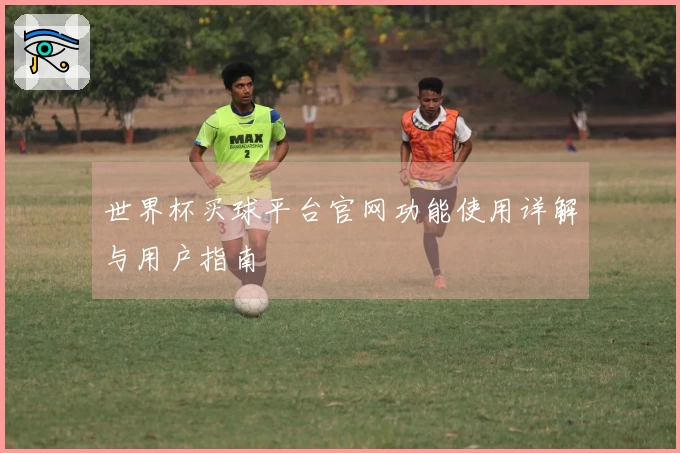 世界杯买球平台官网功能使用详解与用户指南