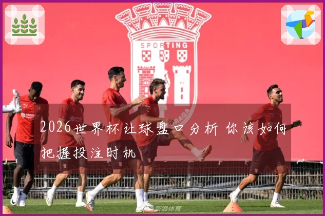 2026世界杯让球盘口分析 你该如何把握投注时机