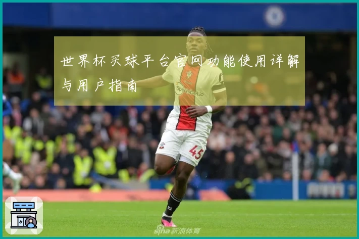 世界杯买球平台官网功能使用详解与用户指南